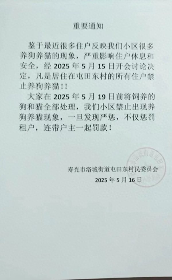 牛金财富 村委回应“禁止居民养猫狗” 仅作提醒无强制执行